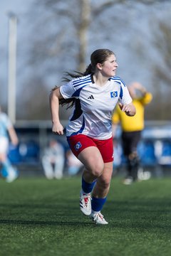 Bild 189 - F Hamburger SV 3 - Blau-Weiss 96 : Ergebnis: 5:1